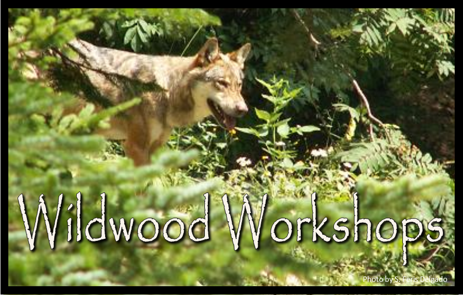 1-wildwoodworkshops-mini